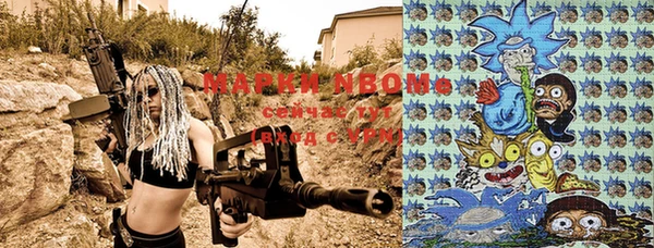 ГАЛЛЮЦИНОГЕННЫЕ ГРИБЫ Вязники
