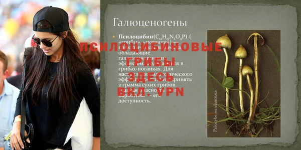 ГАЛЛЮЦИНОГЕННЫЕ ГРИБЫ Вязники