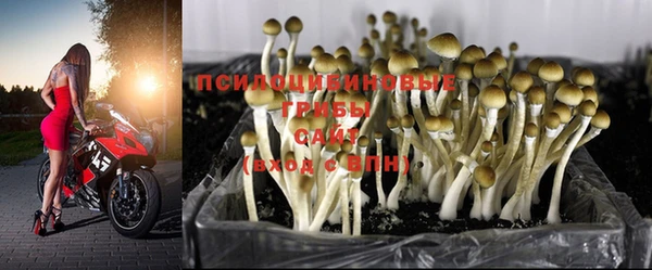 mix Вязьма
