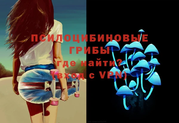 марки lsd Вяземский