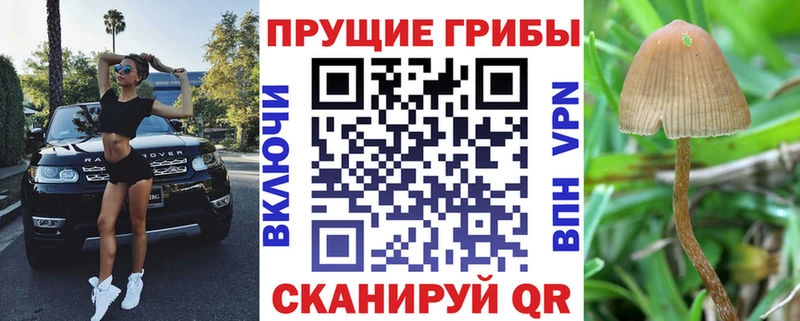 Псилоцибиновые грибы прущие грибы  Лыткарино 